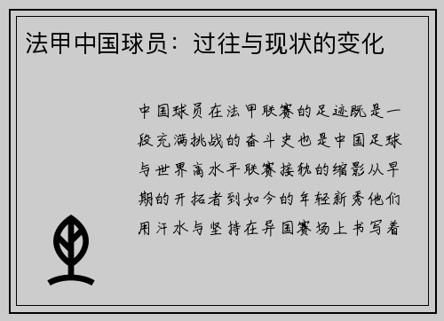 法甲中国球员：过往与现状的变化