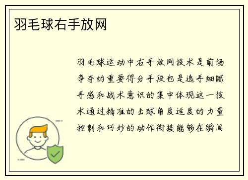 羽毛球右手放网