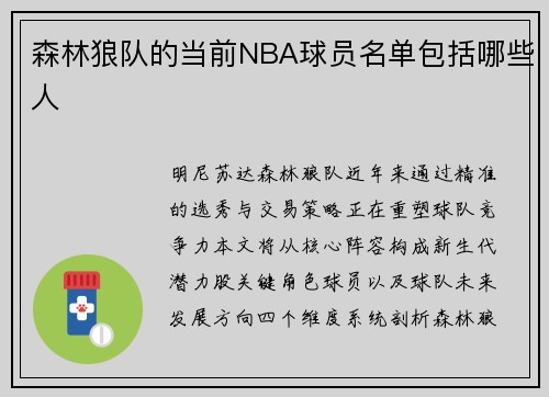 森林狼队的当前NBA球员名单包括哪些人